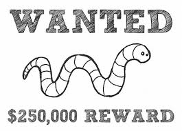 Spaanse-uitdrukkingen-leren-matar-el-gusanillo-snel-Spaans-leren-Tilburg