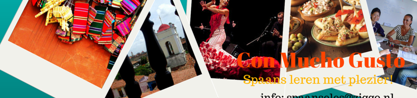 Spaans-leren-Tilburg. Les-op-afstand-via Skype-ook-mogelijk!