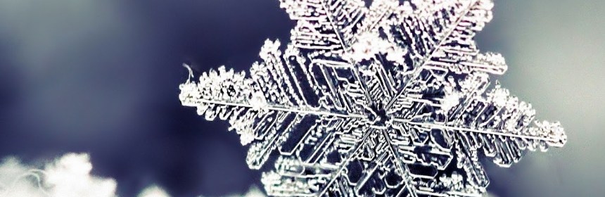 año-de -bienes-año-de-nieves-spreekwoorden-spaans-leren